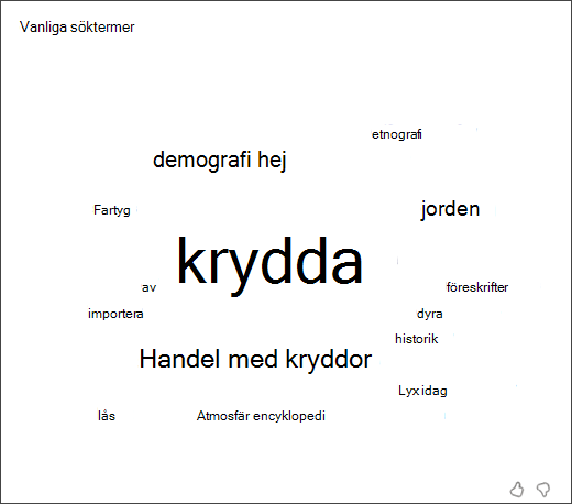 skärmbild av ett ordmoln som visar de vanligaste termerna som används i sökcoachen