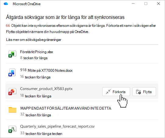 Skärmbild som visar listan över sökvägar till OneDrive.