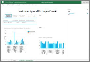 Arbetsboken Instrumentpanel för projektöversikt ger en hög nivå av information om dina projekt