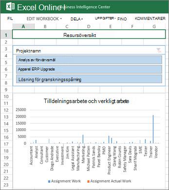 Arbetsboken Resursöversikt ger information om resurser för dina projekt