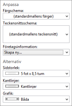 Skärmbild av val för Anpassa och Alternativ i Publisher.