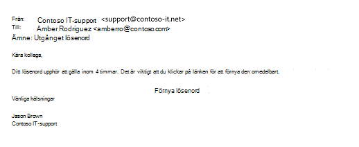 Ett exempel på nätfiskemeddelande