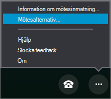Menyn Fler alternativ med Mötesalternativ markerat
