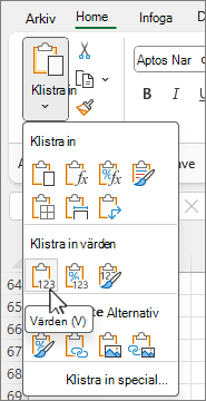 Knappen Klistra in värden i alternativgalleriet
