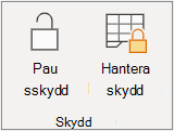 Pausa kalkylbladsskydd