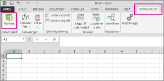 Fliken PowerPivot och knappen Hantera