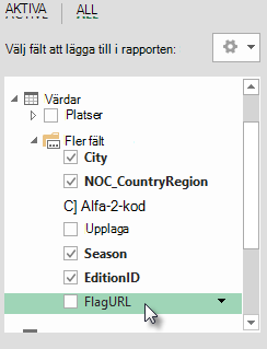 FlaggURL läggs till i tabellen Värdar