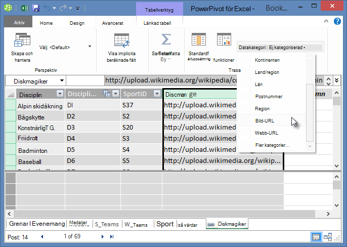 Konfigurera datakategori i Power Pivot