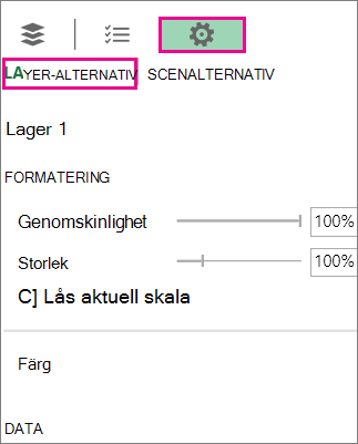 Inställningsikon på fliken för lageralternativ