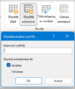 Dialogrutan Skydda arbetsbok