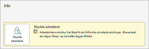 Skydda arbetsbok under Info-menyn