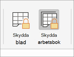 Skydda arbetsbok markerat i MacOS