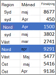 Exempel på källdata för pivottabell
