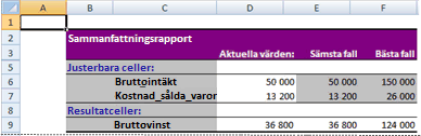 Sammanfattningsrapport för Excel