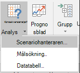 Vill du gå till Scenariohanteraren från Dataprognos > ? What-If Analys