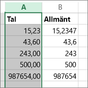 exempel på hur tal visas i olika format t.ex. Tal och Allmänt format.
