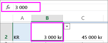 Vy av ett tal i funktionsfältet