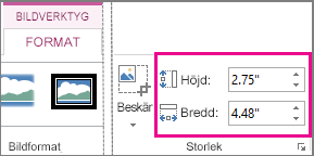 Höjd- och Breddrutorna på fliken Format för bildverktyg