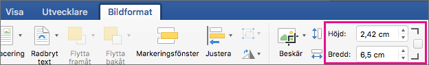 Fliken Bildformat med rutorna Höjd och Bredd markerade.