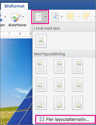 På fliken Bildformat är Position och Fler layoutalternativ markerade.