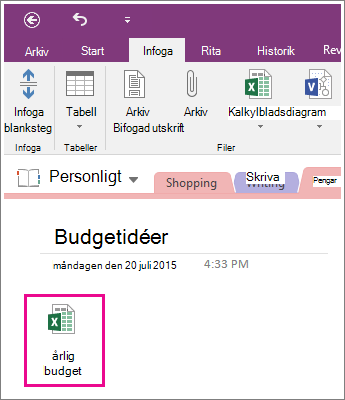 Skärmbild som visar ett bifogat kalkylblad i OneNote 2016.