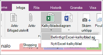 Skärmbild som visar knappen Infoga kalkylblad i OneNote 2016.