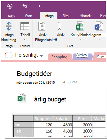 Skärmbild som visar ett inbäddat kalkylblad i OneNote 2016.