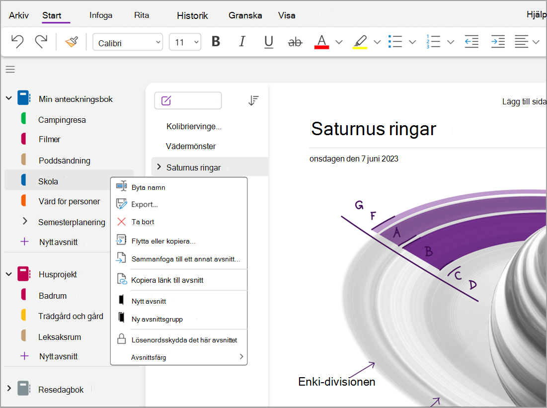 skydda ditt lösenord skärmbild one.png