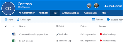 Klicka på Files i din Office 365 grupp om du vill visa listan över filer och mappar som lagras i gruppen