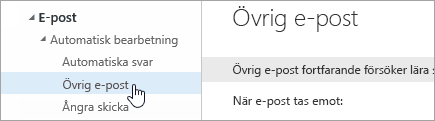 En skärmbild av markören över Övrig e-post på menyn Inställningar.