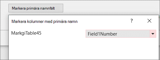 Välja ett specifikt fält för primärt namn