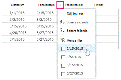 Tillämpa ett filter på fältet Förfallodatum i ett datablad.