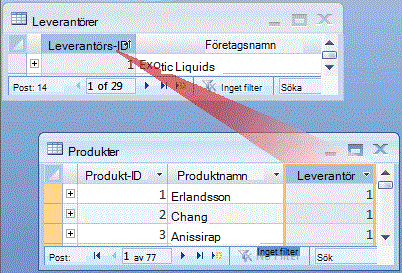 Begreppet 1:N