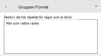Dialogrutan Alternativtext i Excel för Android.