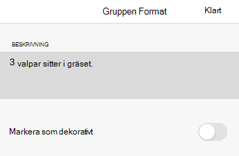 Dialogrutan Alternativtext i Excel för iOS.