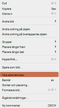 Alternativet Visa alternativtext på snabbmenyn i PowerPoint för Mac.
