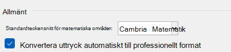 Kryssrutan Konvertera automatiskt uttryck till professionellt format i ett Word-dokument