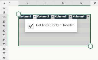 Tabell med kryssrutan Det finns rubriker i tabellen markerad