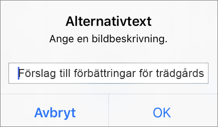 Outlook för iOS: Alternativtext för bildmeny
