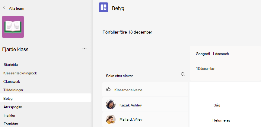 Skärmbild av betyg.
