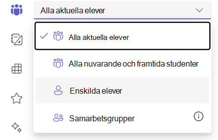 Skärmbild av alternativet för enskilda elever.