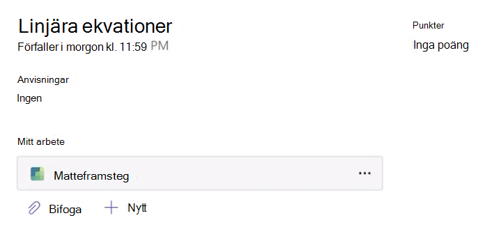 Skärmbild av tilldelning.