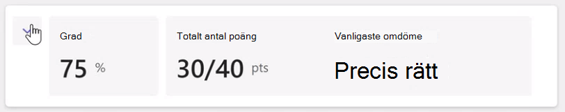 Skärmbild av betyg.