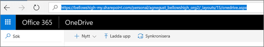 Skärmbild av OneDrive.