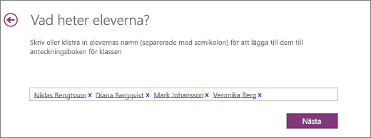 Skriv in elevernas namn och välj Nästa.