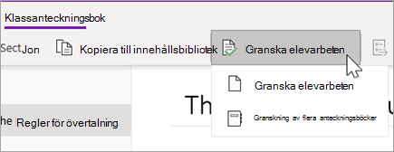Knappen Granska elevarbete. Granska elevarbete och Granskning av flera anteckningsböcker är alternativ.