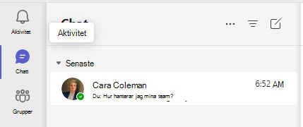 Skärmbild av chatt.