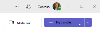 Skärmdump av nytt möte