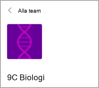 Återgå till Alla team.