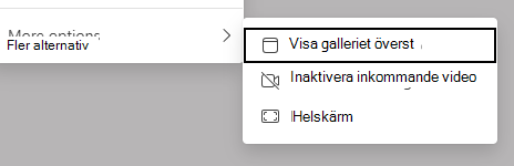 Skärmbild av visningsalternativ.